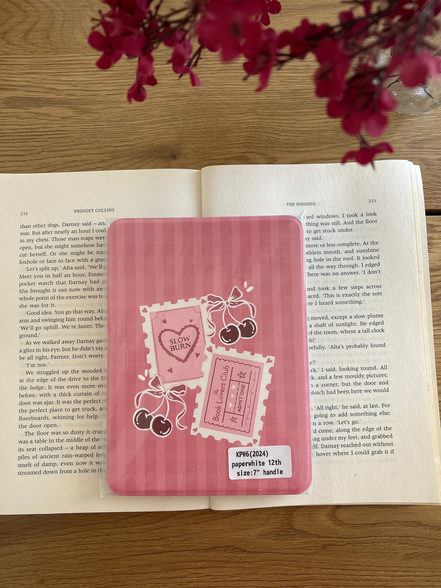 Imperfect E-reader Cases